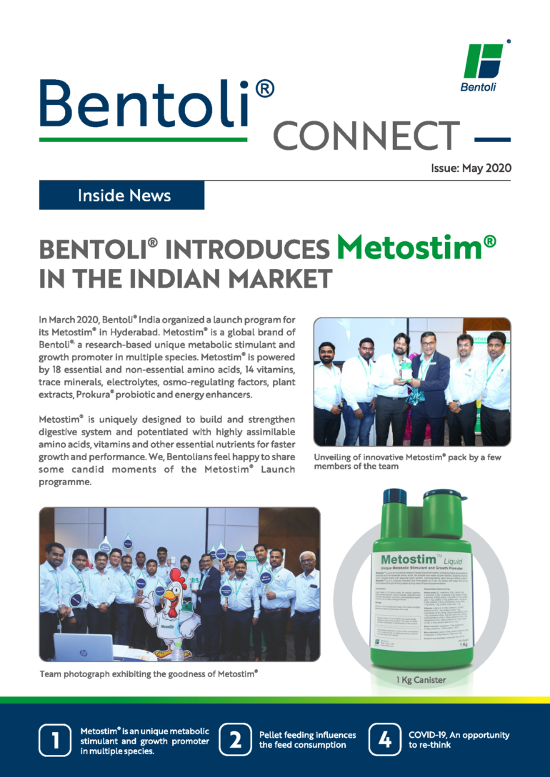 Resources Archive - Page 2 of 2 - Bentoli