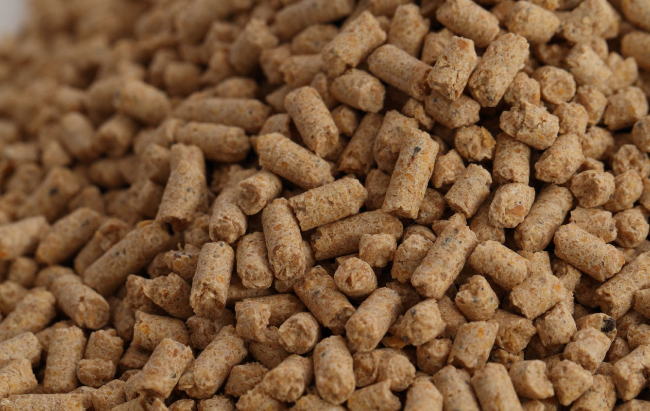 Good Physical Quality of pellet Feed- the important for commercial broiler  - Bentoli